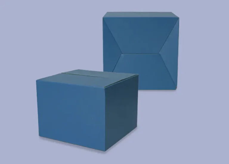 snap-lock-bottom2